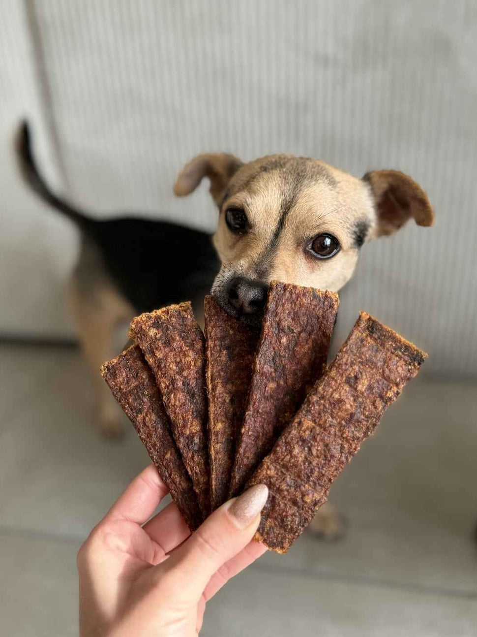 LAMELLES 100% NATURELLES - Lapin