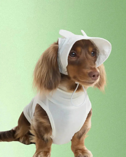 Casquette Lapin - Petit chien