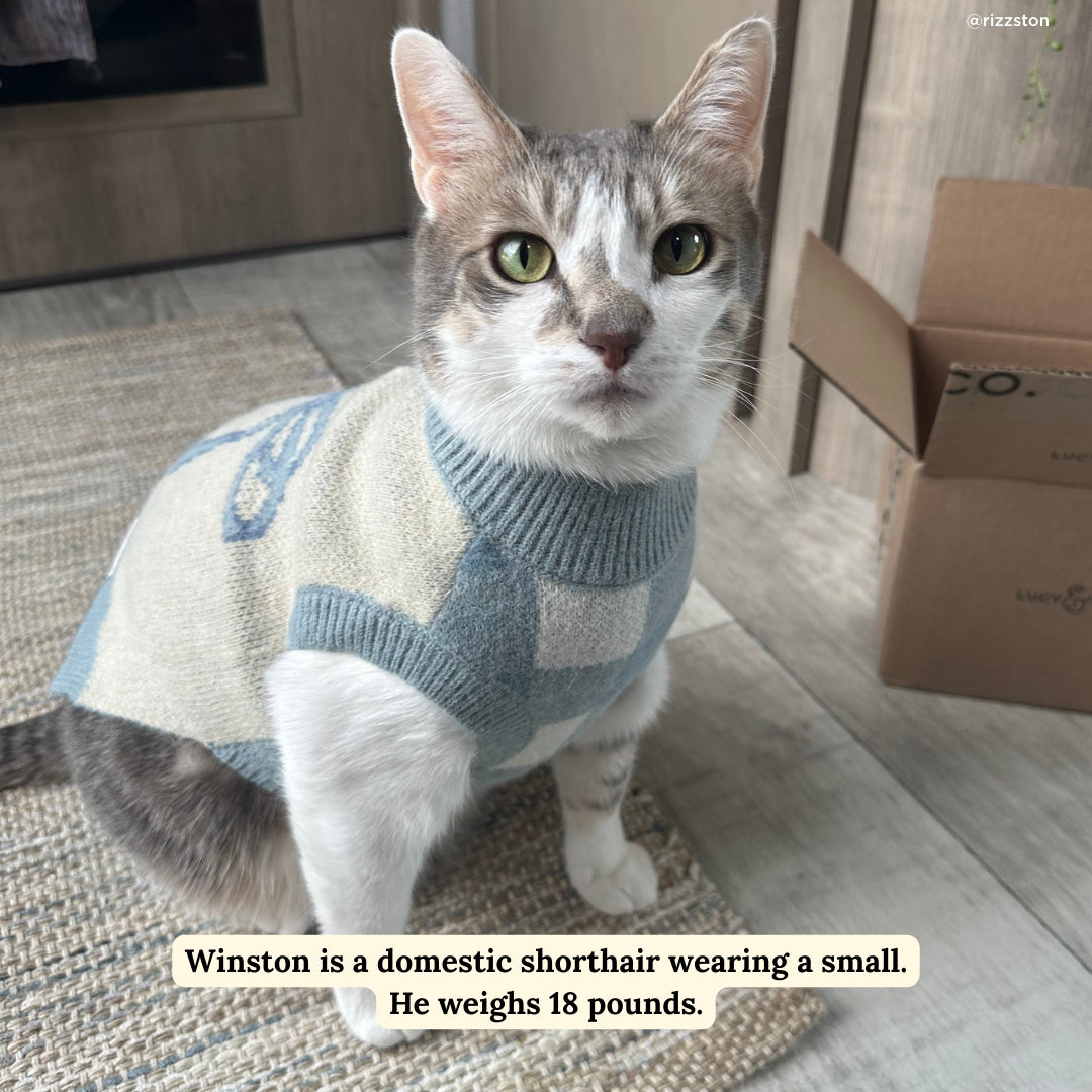 PULL POUR CHIEN ET CHATS - Noeud bleu