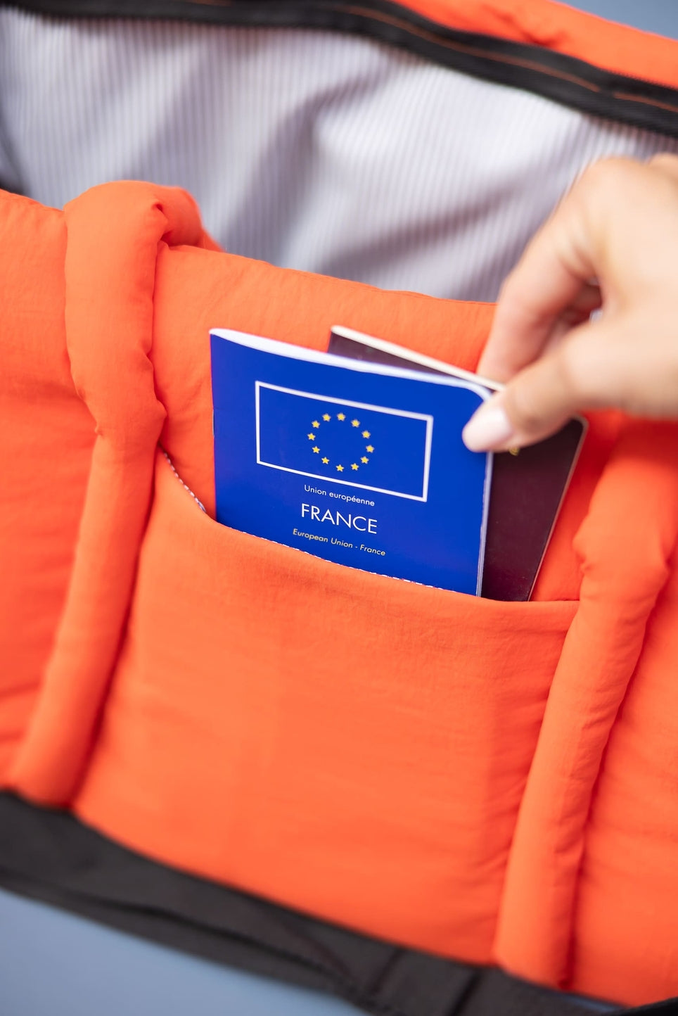 SAC DE VOYAGE POUR CHIENS ET CHATS - Orange