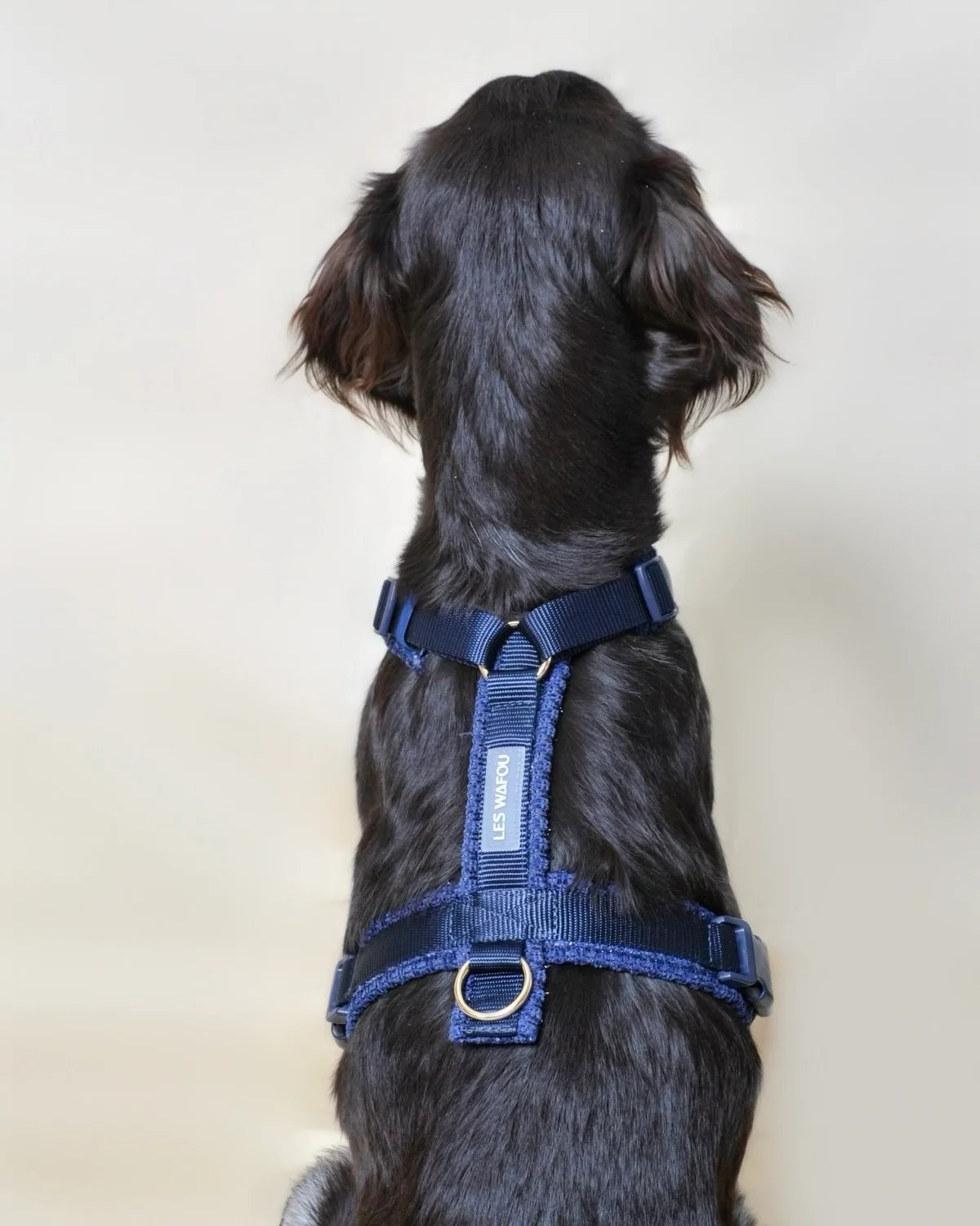 HARNAIS EN TWEED - Bleu nuit