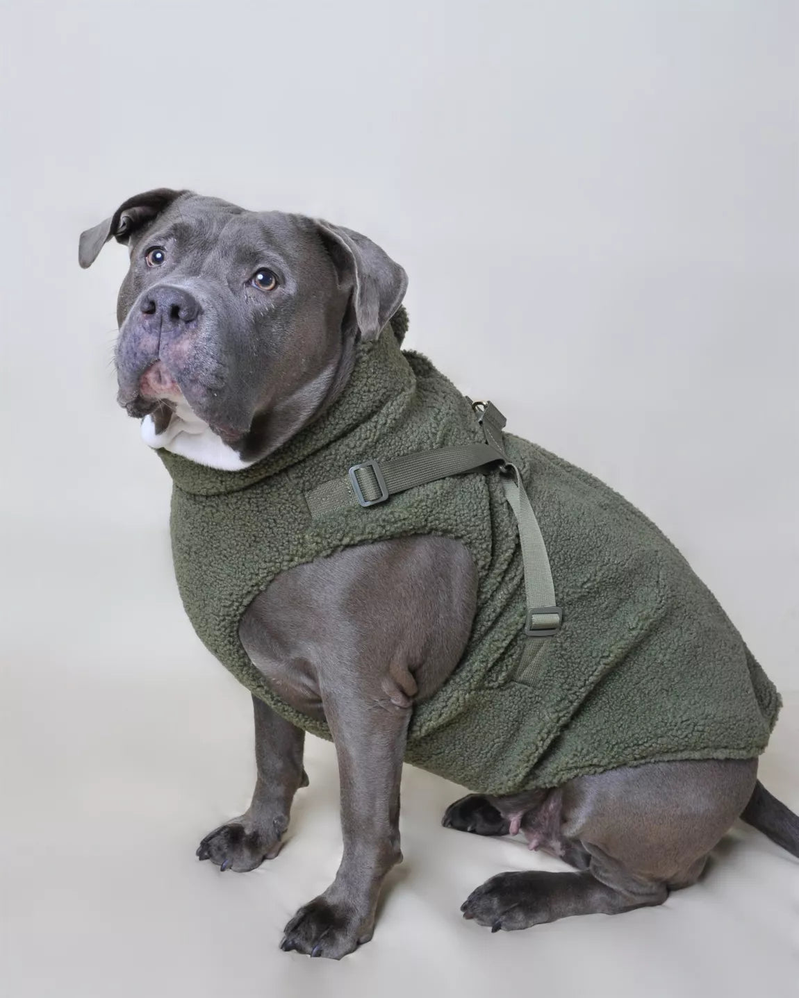 MANTEAU MOUMOUTE POUR CHIENS - Vert