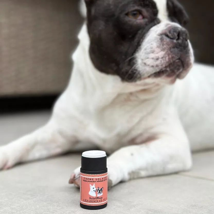 CRÈME SOLAIRE SPF30 - Chiens