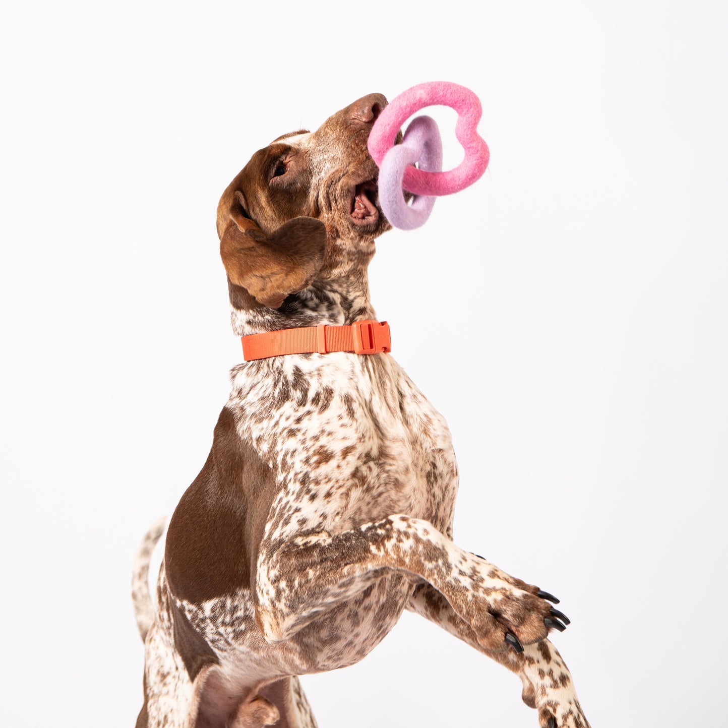 JOUET EN FEUTRINE - Sweetheart