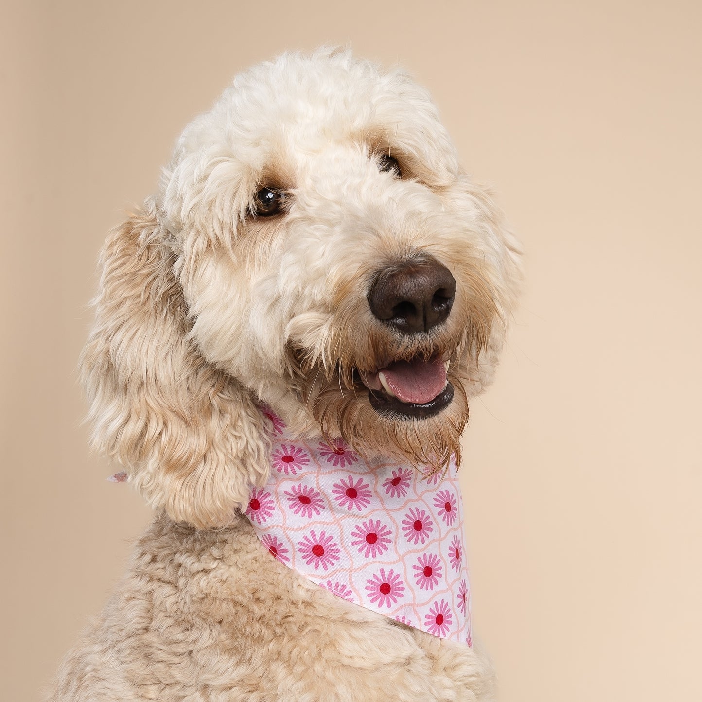BANDANA - Poppy Fleur Rose