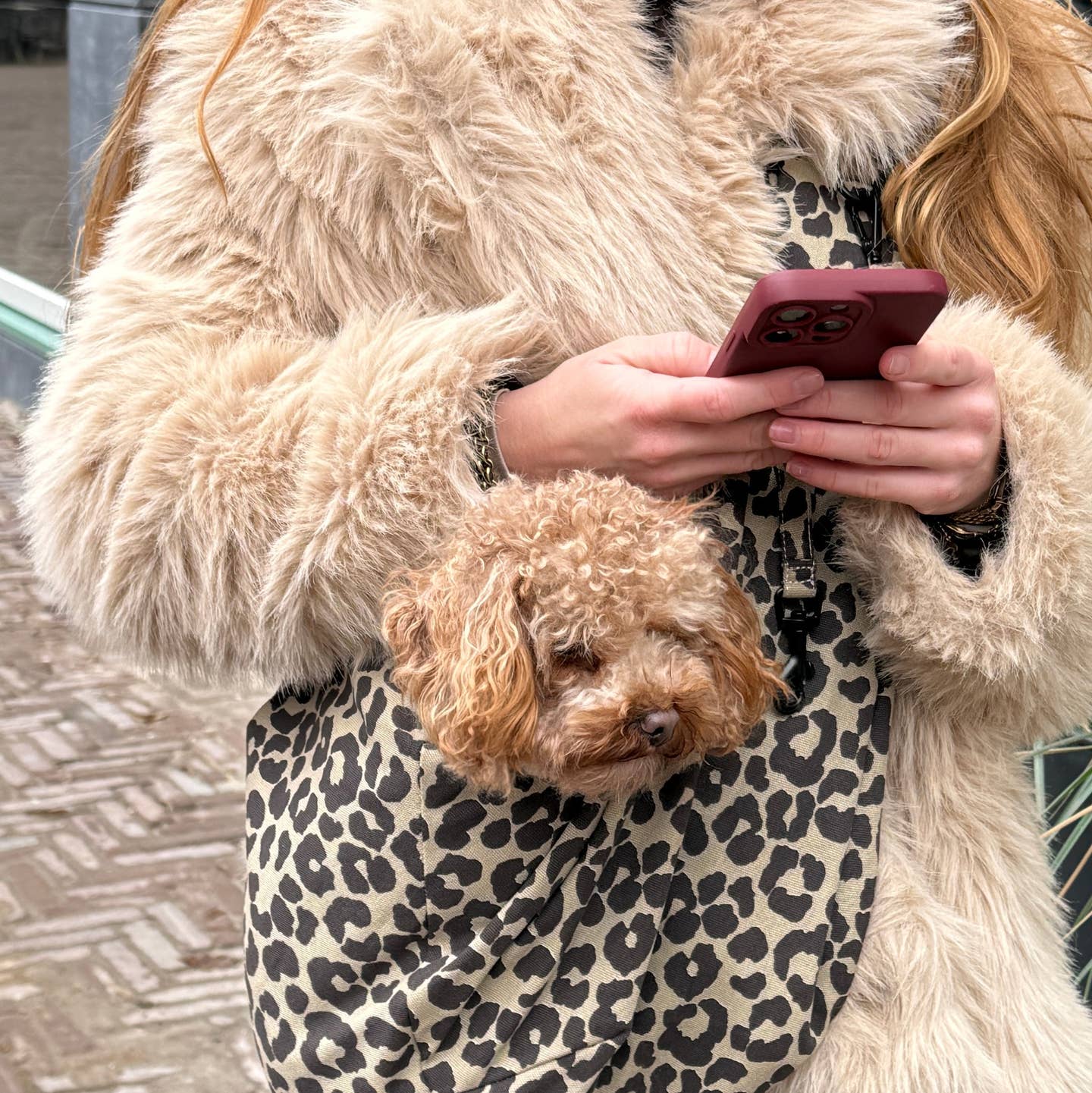 SAC BANDOULIÈRE POUR CHIENS