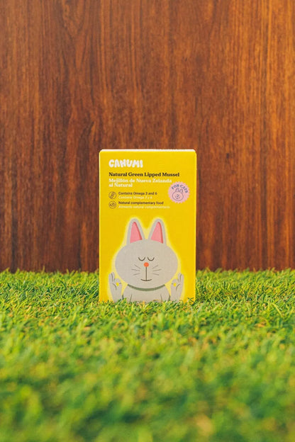 MOULE À LÈVRES VERTES - Chat