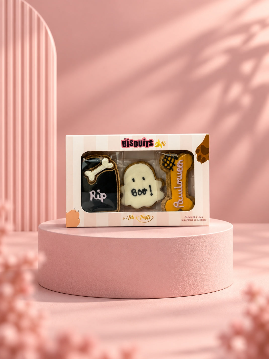 COFFRET 3 BISCUITS - Pawlloween