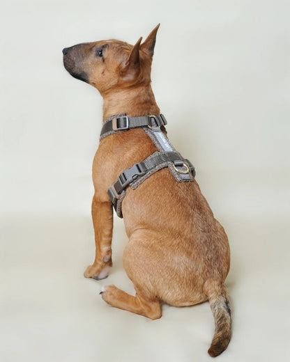 HARNAIS EN TWEED - Taupe