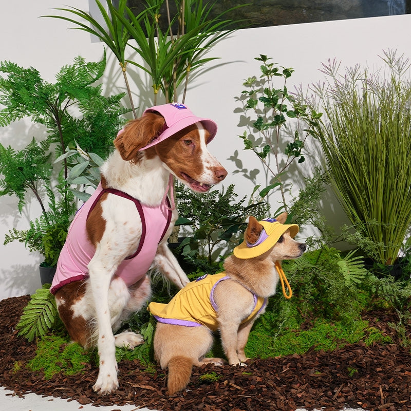 BOB RAFRAÎCHISSANT POUR CHIEN - 3 couleurs