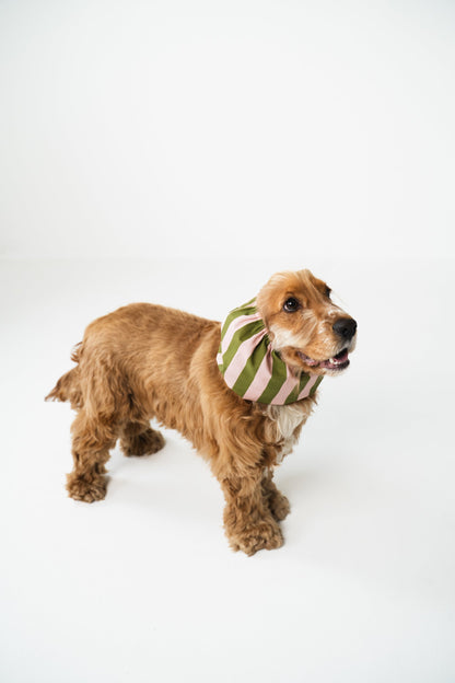 SNOOD EN COTON - Rayé vert et rose
