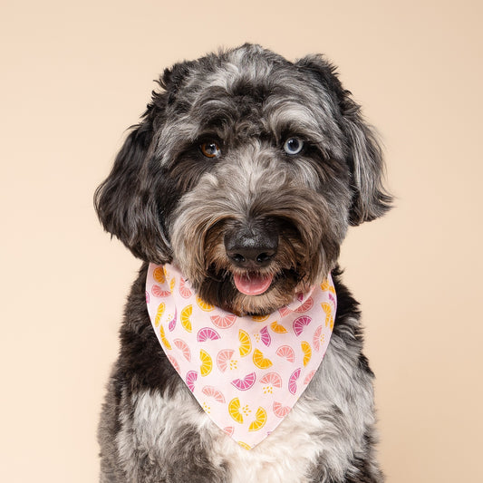 BANDANA - Pamplemousse