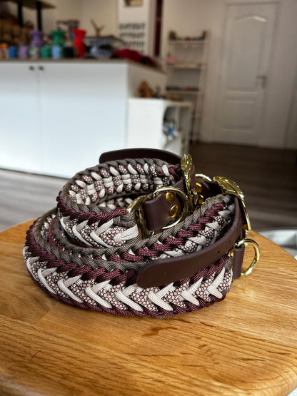 COLLIER POUR CHIEN - Bonnie marron