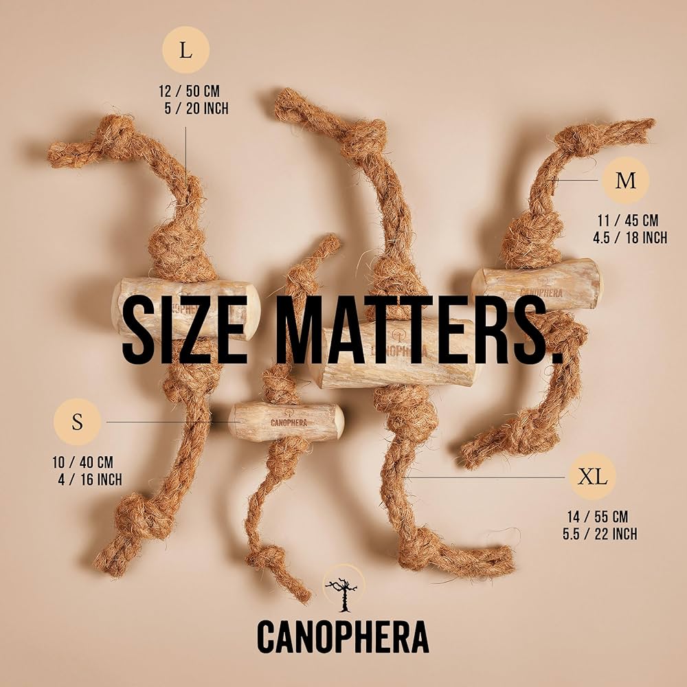 MASTICATION NATURELLE - Bois de café et corde de noix de coco