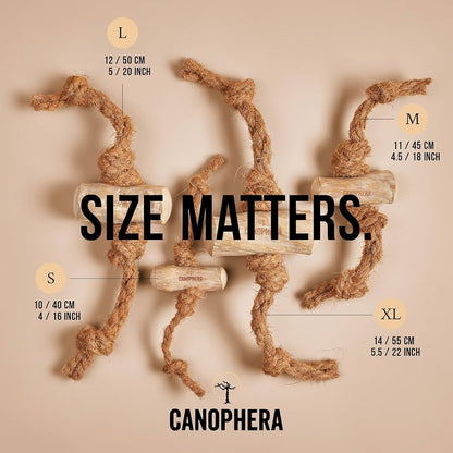 MASTICATION NATURELLE - Bois de café et corde de noix de coco