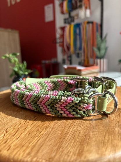 COLLIER POUR CHIEN - Opale vert et rose