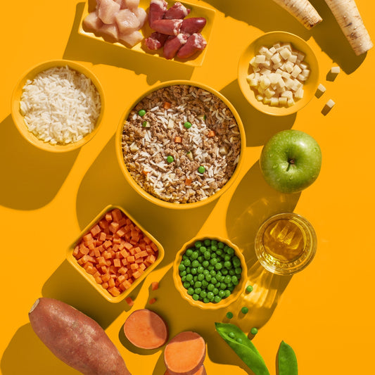 PÂTÉS POUR CHIEN - Poulet avec riz