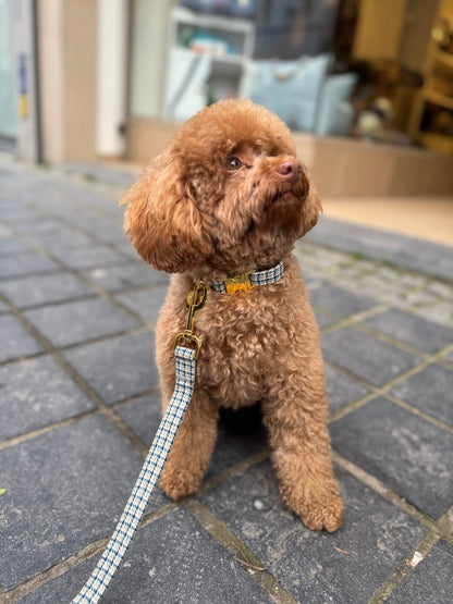 COLLIER POUR CHIEN - Pied-de-poule