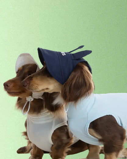 Casquette Lapin - Petit chien