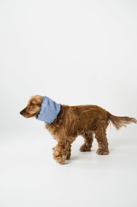 SNOOD EN COTON - Santorin