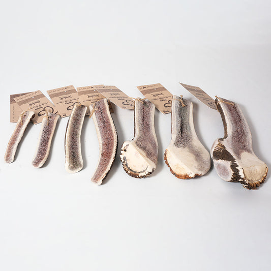 MASTICATION NATURELLE - Demi bois de cerf Évident