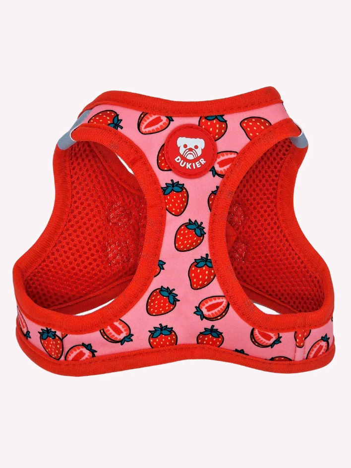 HARNAIS BODY - Fraises