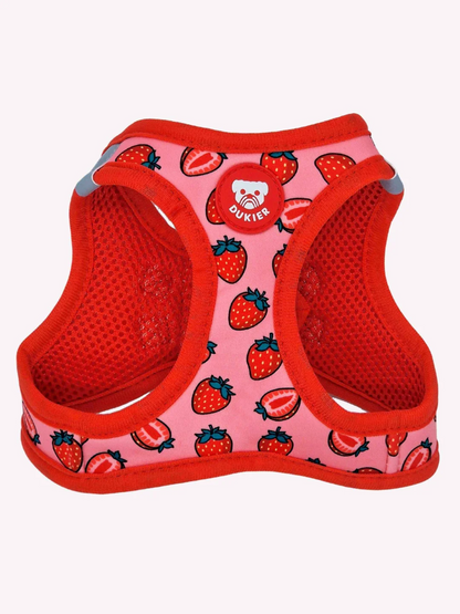 HARNAIS BODY - Fraises