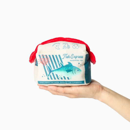 JOUET D’OCCUPATION - Fish express
