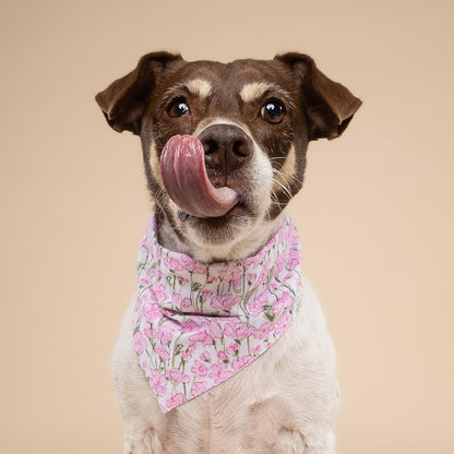 BANDANA - Azelia Flowers