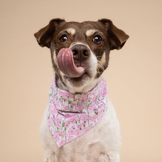 BANDANA - Azelia Flowers