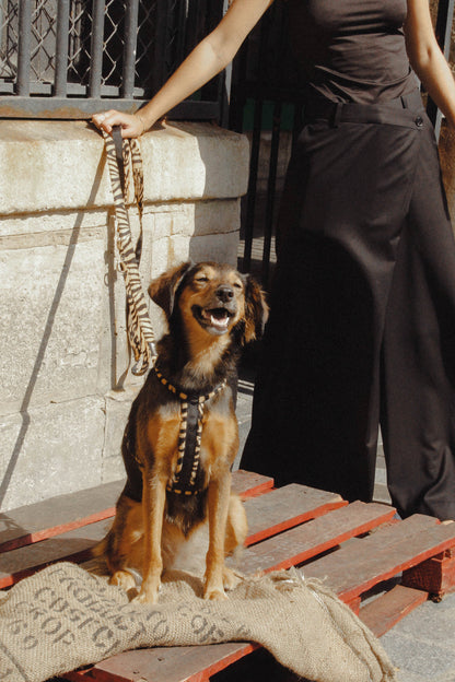 HARNAIS POUR CHIEN - Wild