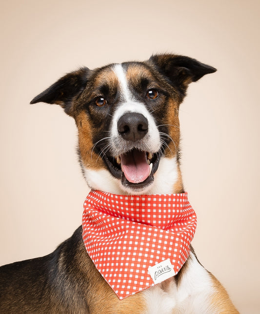 BANDANA - Vichy rouge