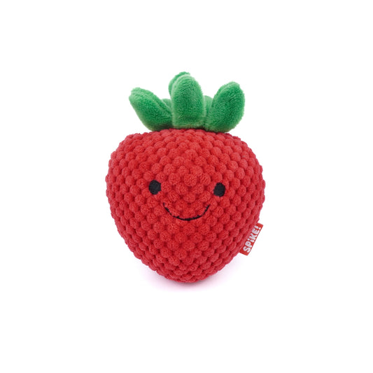 JOUET POUR CHIEN - Fraise