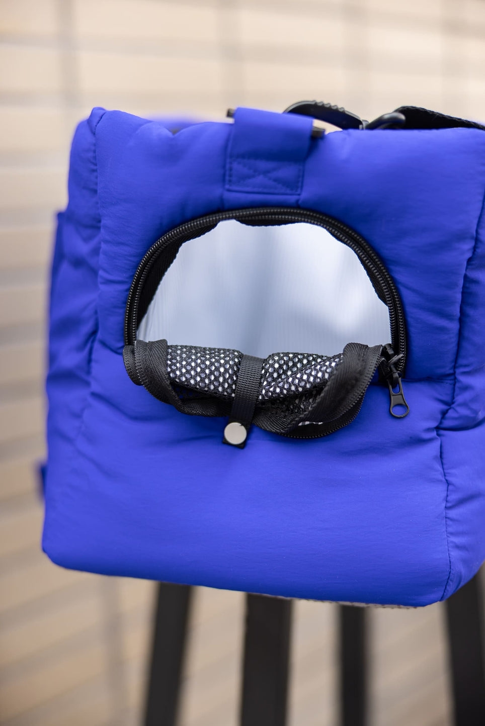 SAC DE VOYAGE POUR CHIENS ET CHATS - Bleu électrique