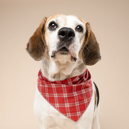 BANDANA - Tartan rouge cidre