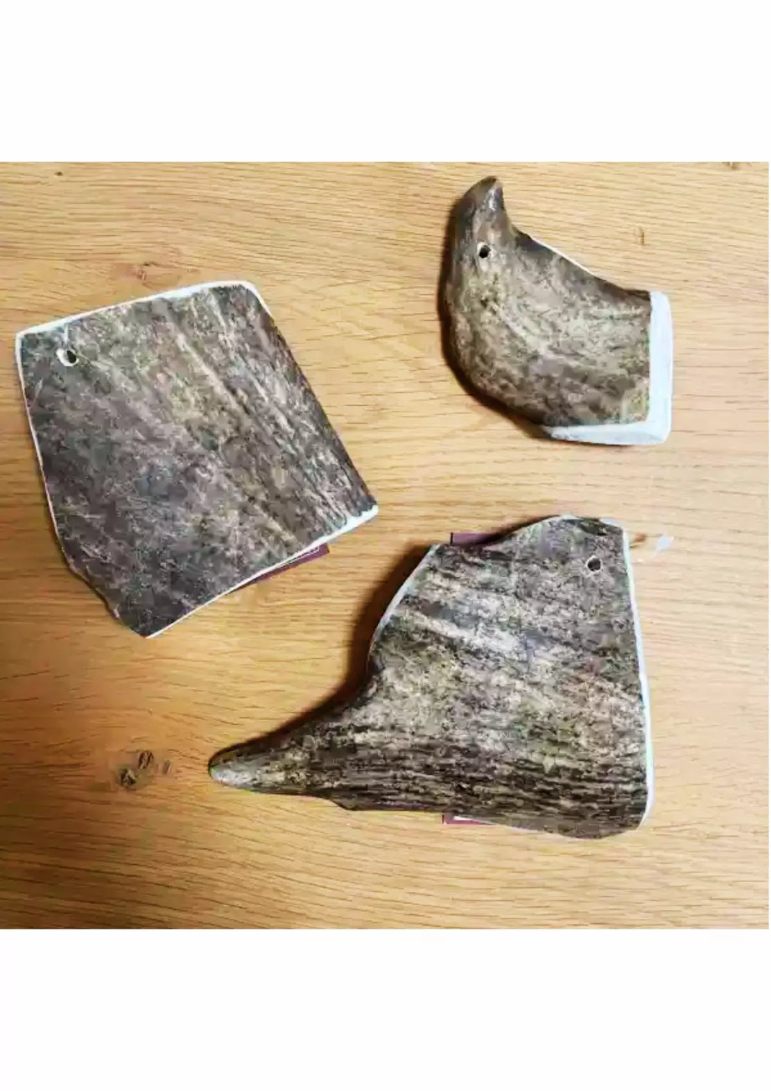 MASTICATION NATURELLE - Bois de daim