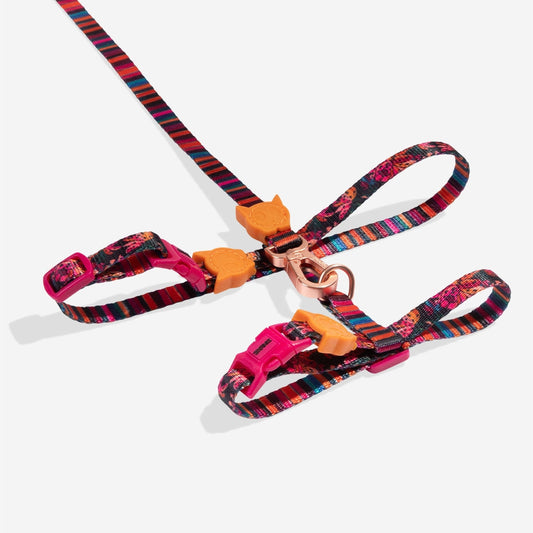 HARNAIS + LAISSE pour chat - Rio Farm Selva