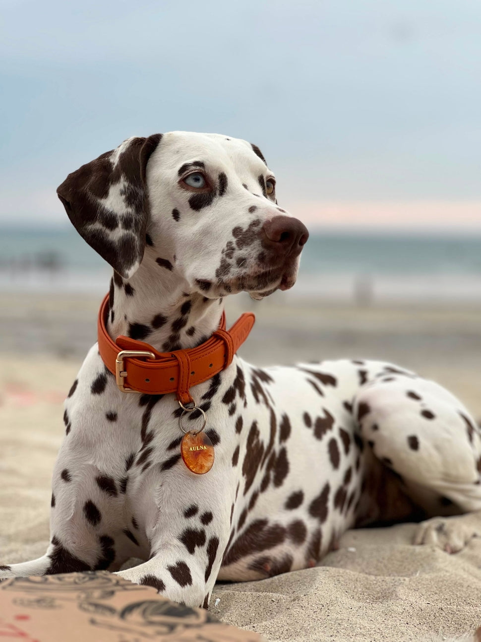 COLLIER EN MICROFIBRE VÉGÉTAL - Terracotta