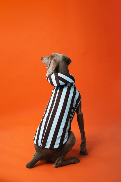 IMPERMÉABLE - Rayé marron et bleu