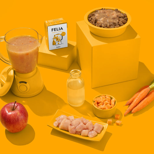 SMOOTHIE POUR CHAT - Poulet