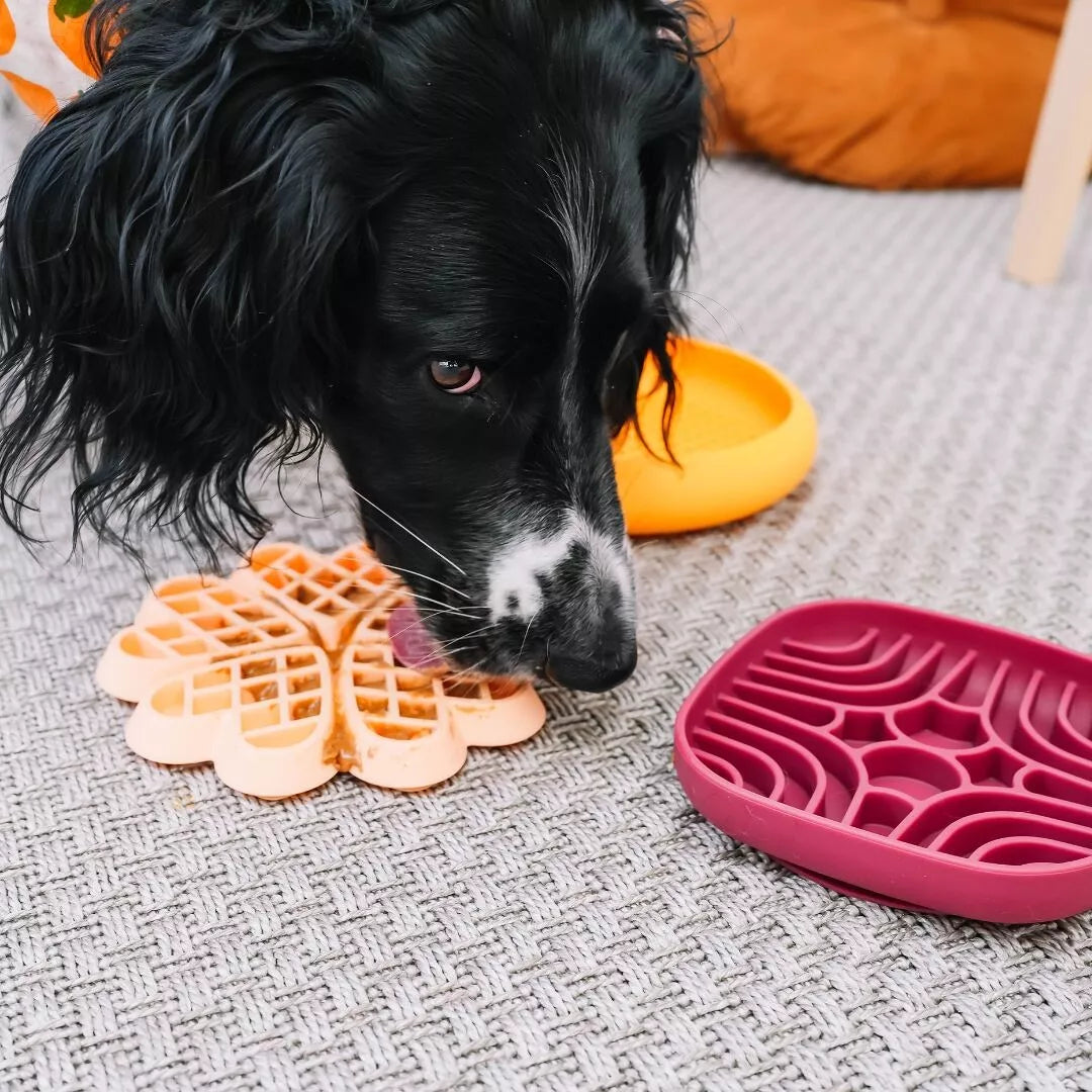 TAPIS DE LÈCHE - Puzzle Moutarde