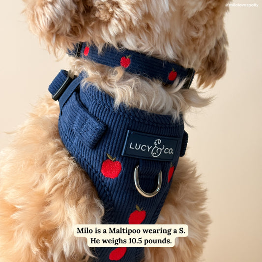 COLLIER VELOUR BLEU - Apple eve