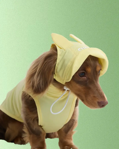 Casquette Lapin - Petit chien