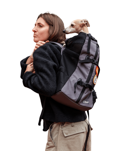 SAC À DOS POUR CHIENS