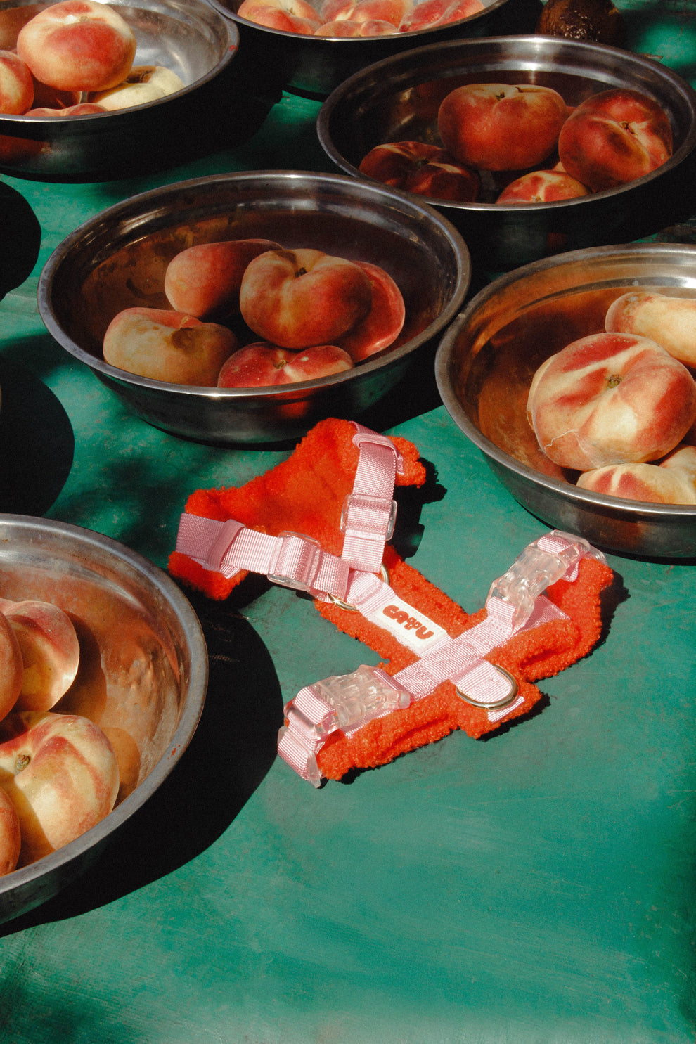 HARNAIS POUR CHIEN SHERPA - Cayu