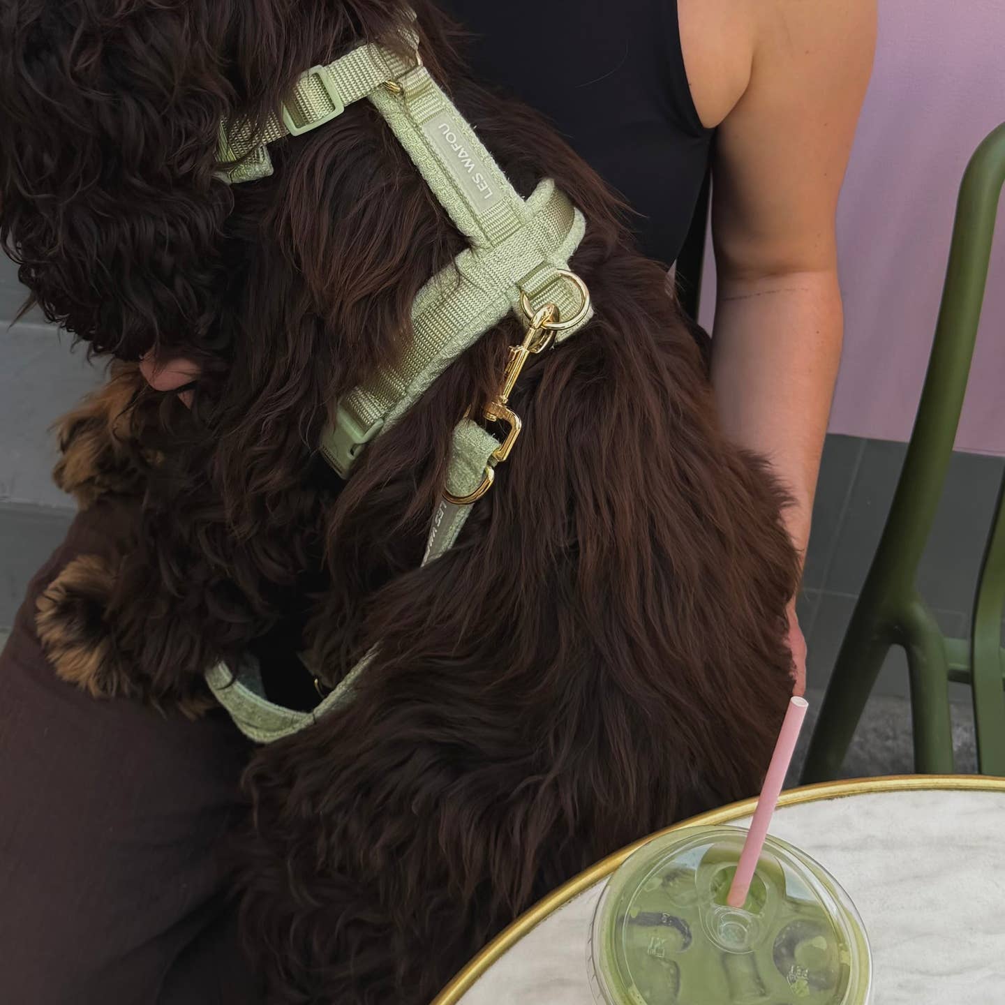 HARNAIS EN TWEED - Matcha