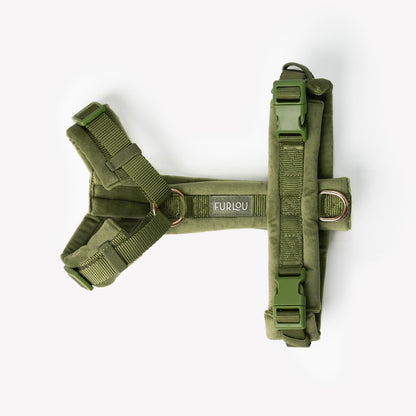 HARNAIS EN VELOURS - Vert