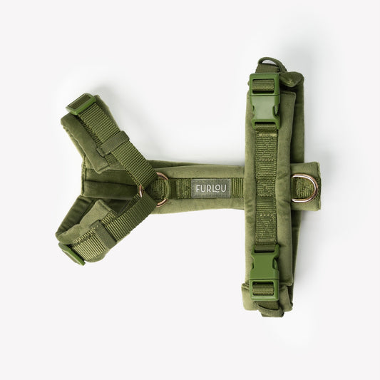 HARNAIS EN VELOURS - Vert