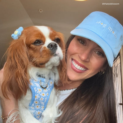CASQUETTE - Daisy Dog mom