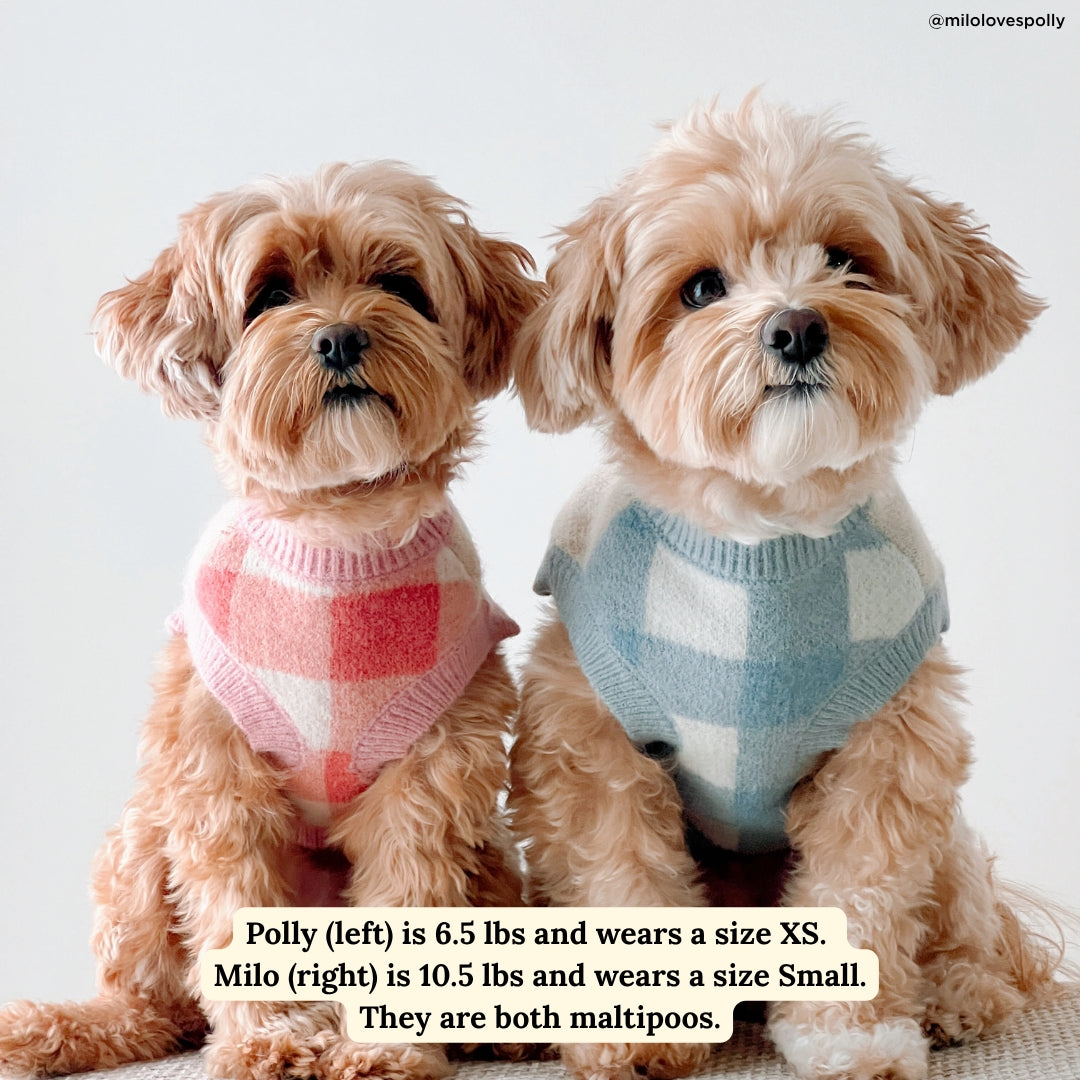 PULL POUR CHIENS ET CHATS - Noeud rose